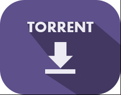  Torrent